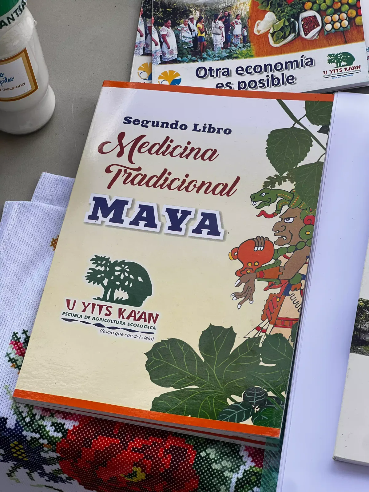 Libro de Medicina Tradicional Maya publicado por U Yits Ka'an