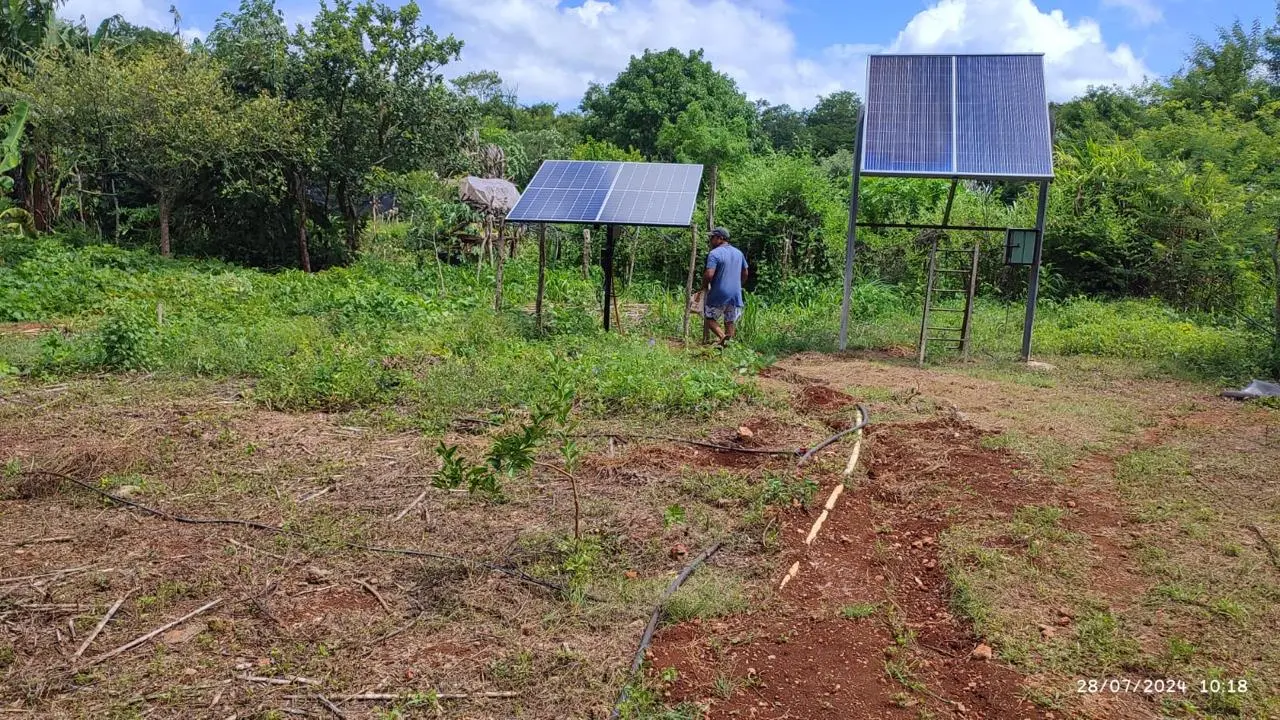 Paneles solares instalados junto a la milpa