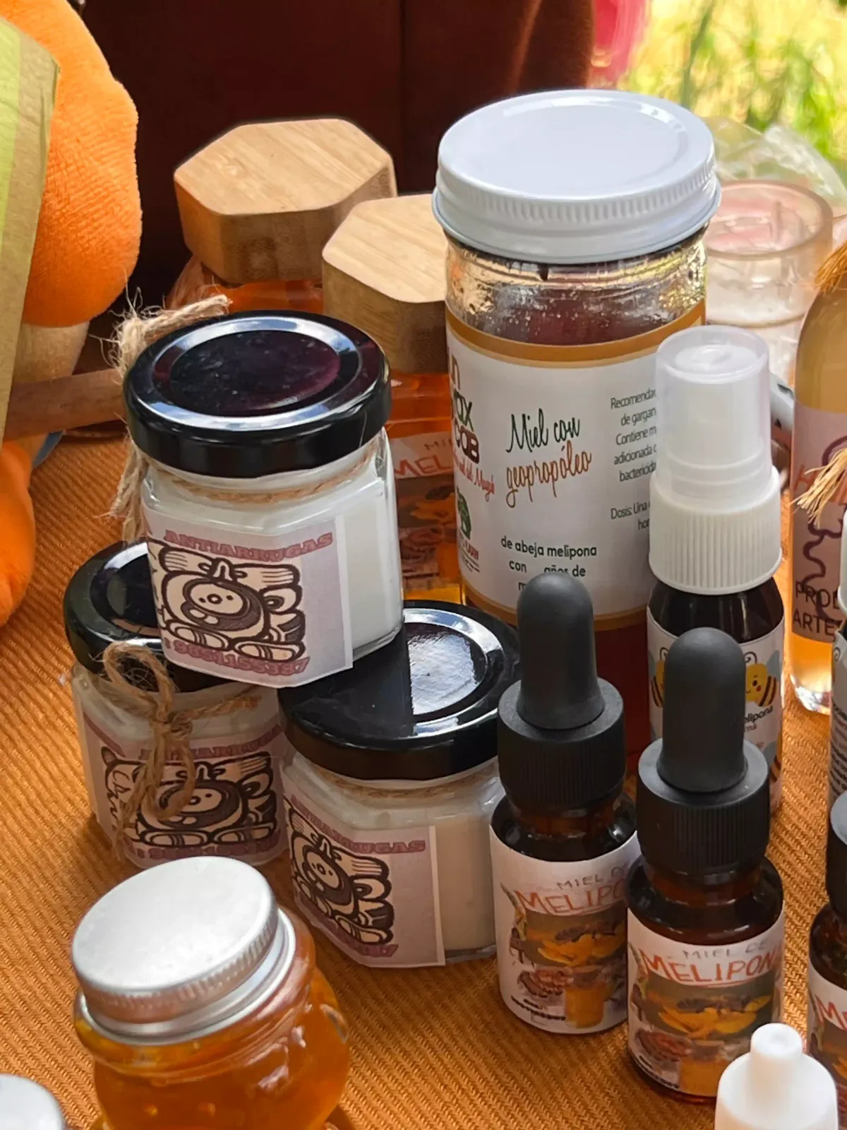 Polen y productos de la colmena melipona