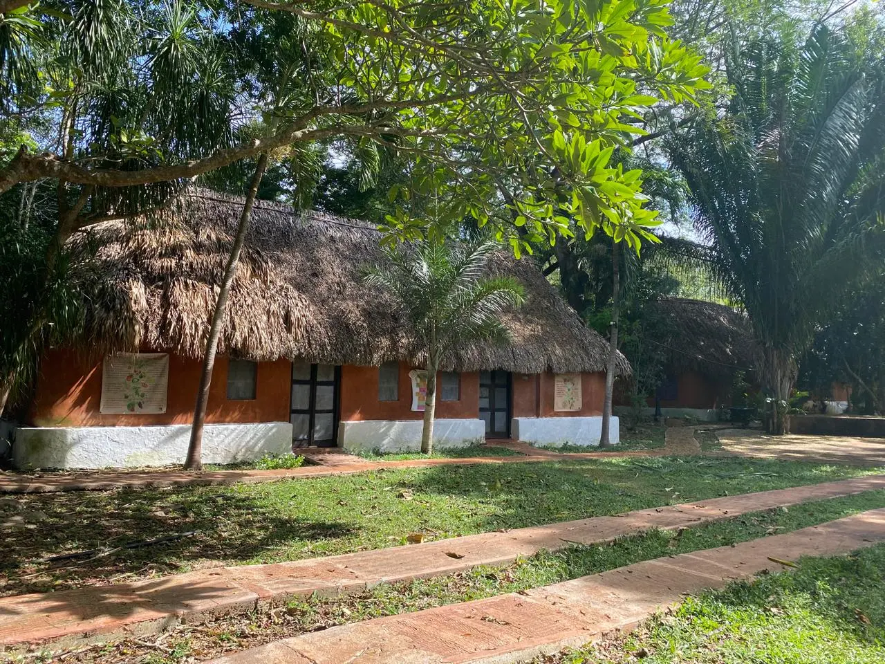 Las casas mayas de techo de palma de la escuela U Yits Ka'an en Maní